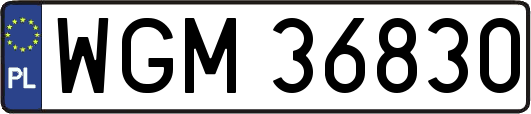 WGM36830