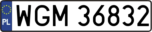 WGM36832
