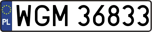 WGM36833