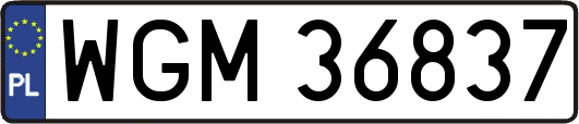 WGM36837