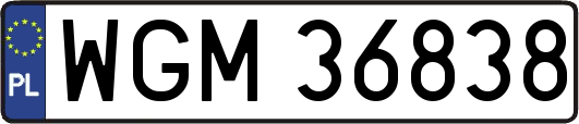WGM36838