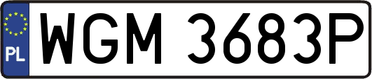 WGM3683P