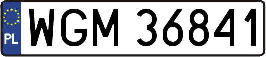 WGM36841