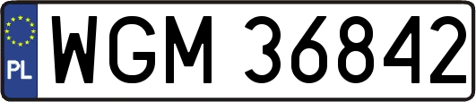 WGM36842