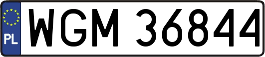 WGM36844