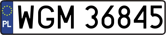 WGM36845