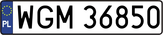 WGM36850