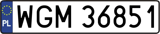 WGM36851
