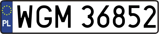 WGM36852