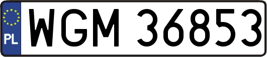 WGM36853