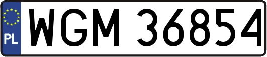 WGM36854