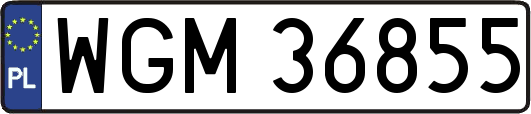 WGM36855