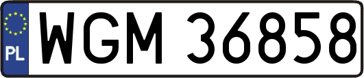 WGM36858