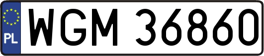 WGM36860