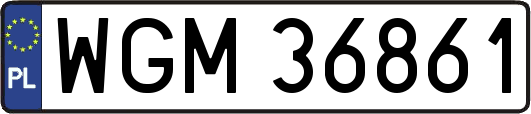 WGM36861