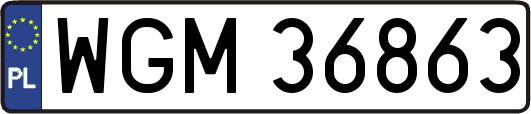 WGM36863