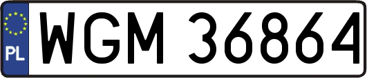 WGM36864