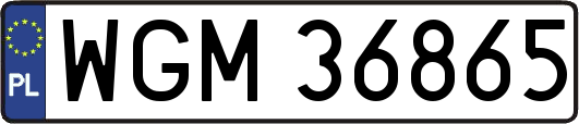 WGM36865