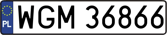 WGM36866