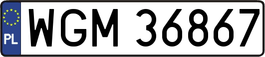 WGM36867