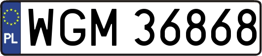 WGM36868