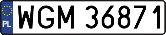 WGM36871