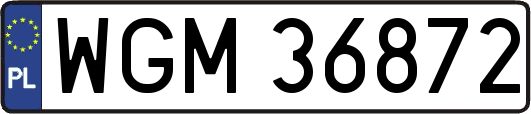 WGM36872