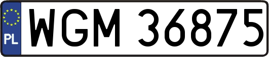 WGM36875