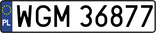 WGM36877