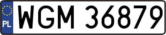 WGM36879