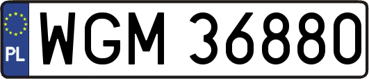 WGM36880