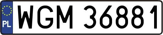 WGM36881