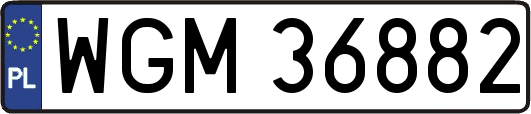 WGM36882