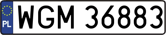 WGM36883