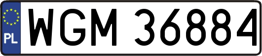 WGM36884