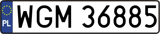 WGM36885