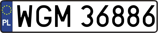 WGM36886