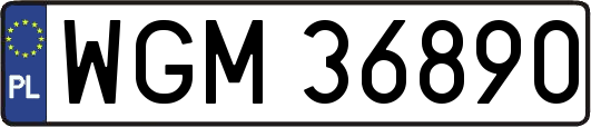 WGM36890