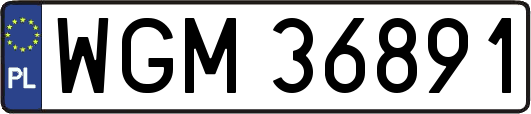 WGM36891