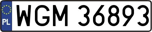 WGM36893