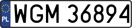 WGM36894