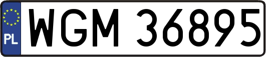 WGM36895