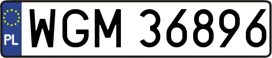 WGM36896