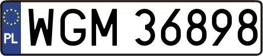 WGM36898