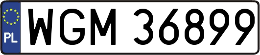 WGM36899