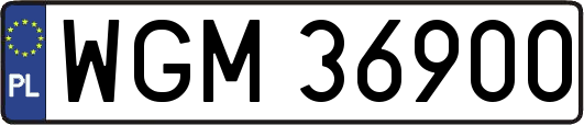 WGM36900