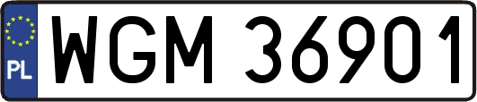 WGM36901