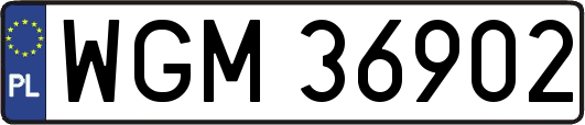 WGM36902