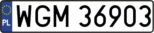 WGM36903