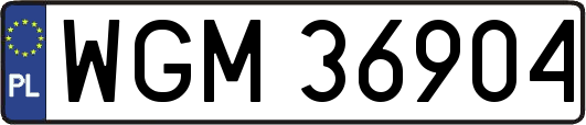 WGM36904